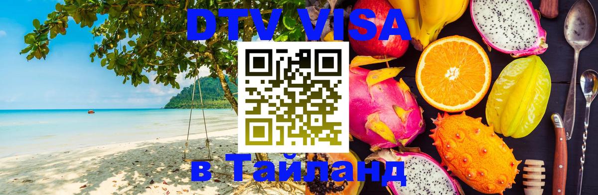 Оформление DTV визы под ключ: стоимость и тарифы, только загранпаспорт - Тхимпху  08.01.2026 